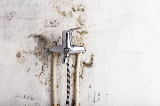 Poplar Cotton Center, CA Mold Remediation Company