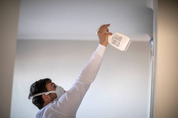 Best Localized Mold Remediation (e.g., coastal areas, humid climates) in Poplar Cotton Center, CA