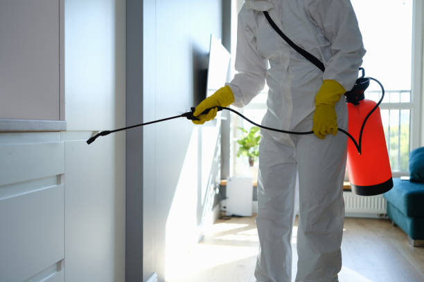 Best Mold Testing and Inspection Services in Poplar Cotton Center, CA