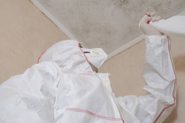 Best Post-Remediation Services in Poplar Cotton Center, CA