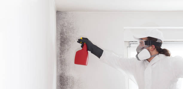 Best Emergency Mold Remediation in Poplar Cotton Center, CA