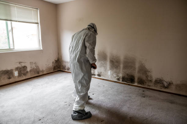 Best Mold Remediation for Specific Building Types in Poplar Cotton Center, CA